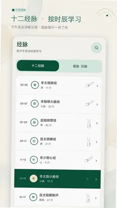 穴位经脉大全预览图