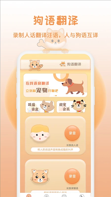 逗猫神器功能展示