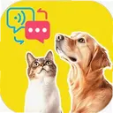 ����è�����Է���1.0.1 ��׿��