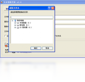 文本替换专家操作界面