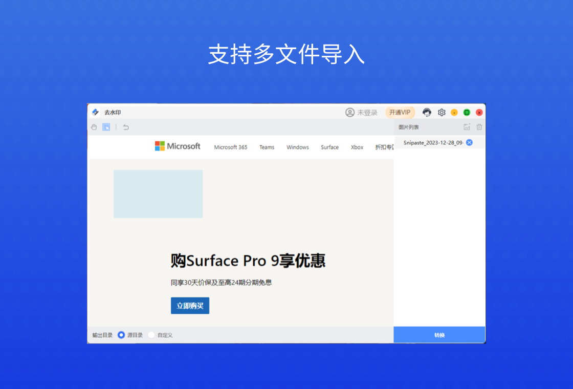 去水印电脑版操作界面
