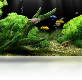 Dream Aquarium预览