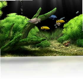 Dream Aquarium预览图