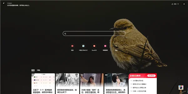 360极速浏览器X绿色版截图 360极速浏览器X绿色版截图
