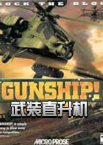 武装直升机电脑版Gunship