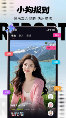 小狗报到 小狗报到