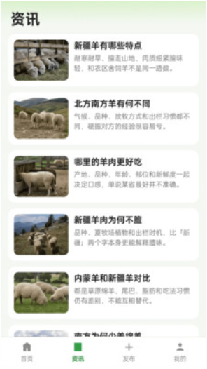 抓一群羊 抓一群羊