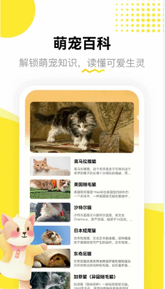龙猫日记 龙猫日记