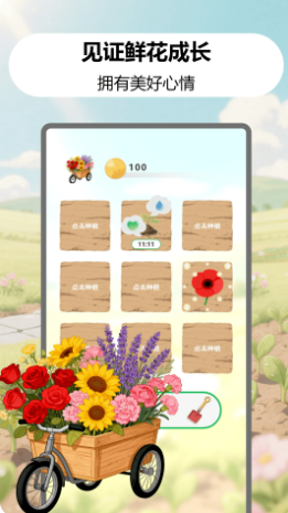 幸福花开 幸福花开