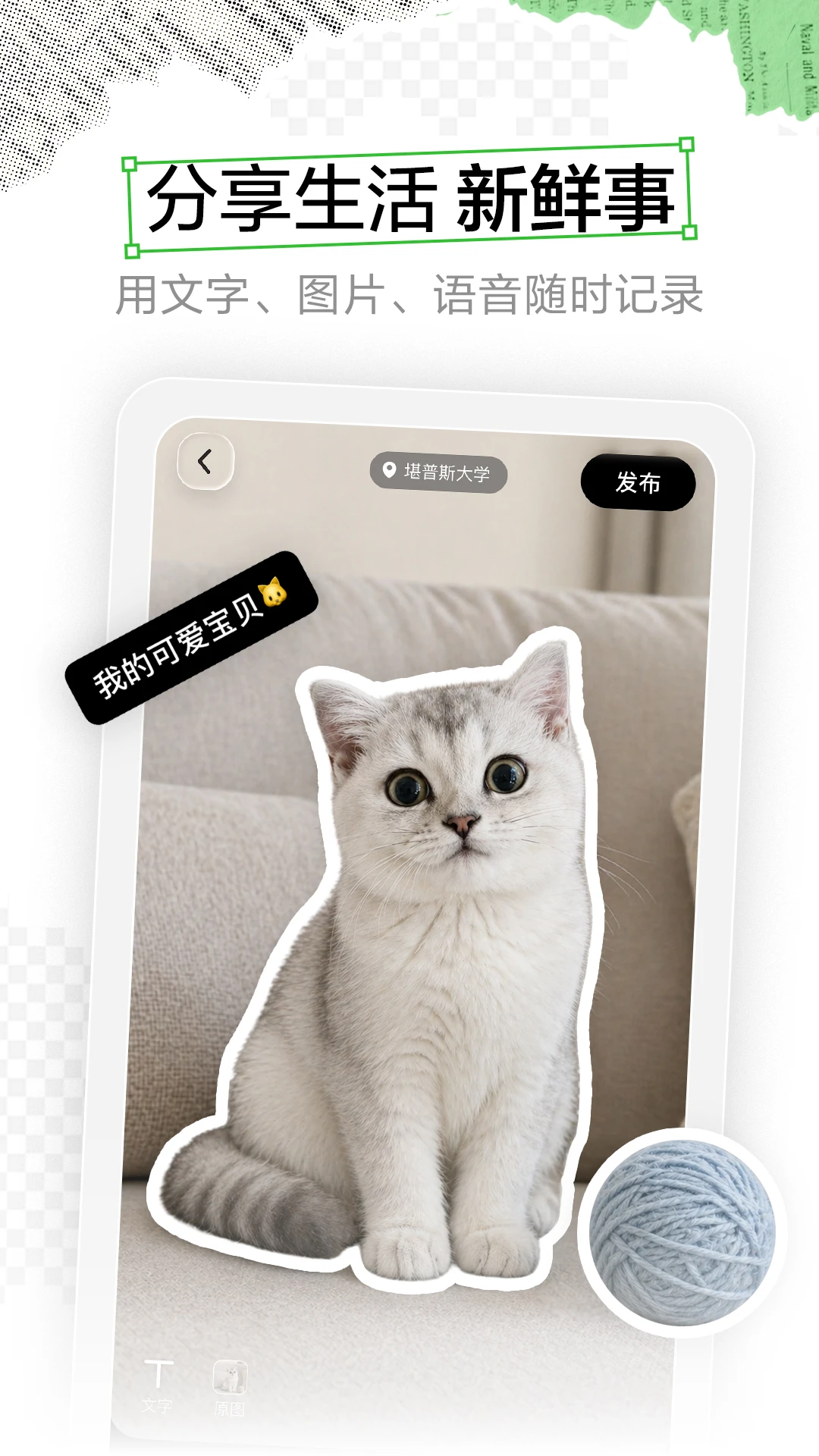 Campus 动态发布