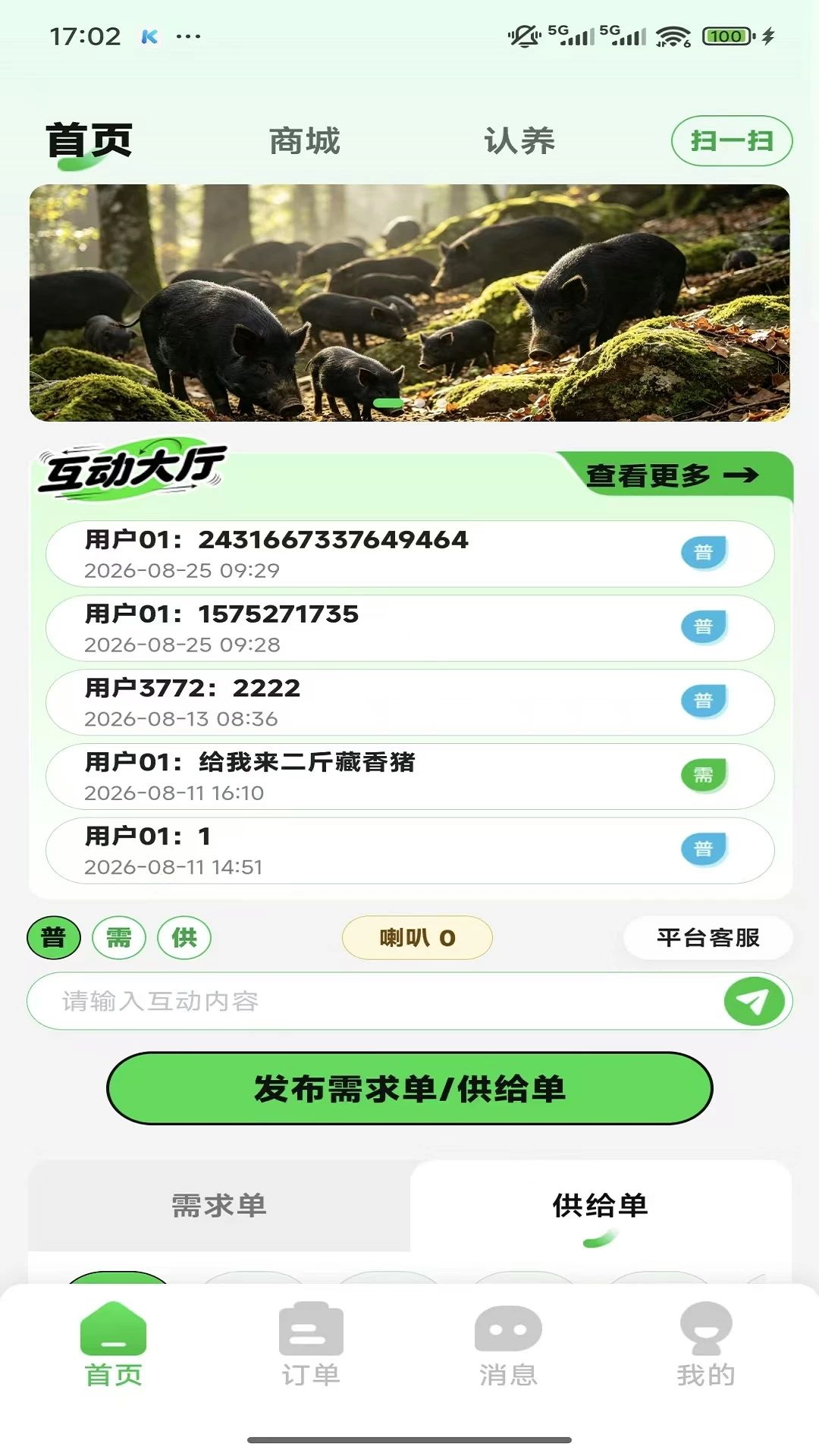 猪田多预览图