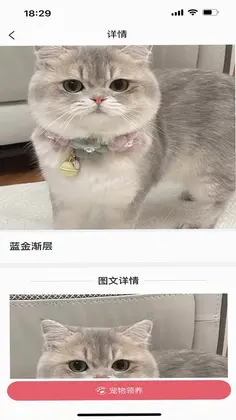 ����߹�̳�Ԥ��ͼ