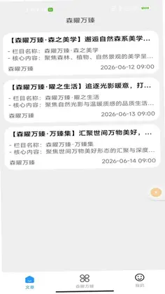 森矅万臻预览图