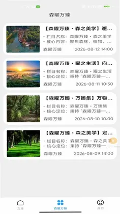 森矅万臻预览图