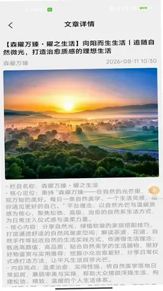森矅万臻预览图