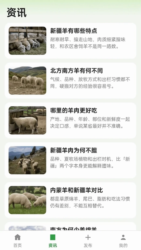 抓一群羊预览图