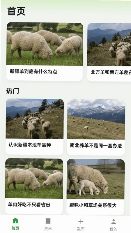 抓一群羊预览图