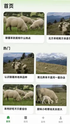 抓一群羊预览图
