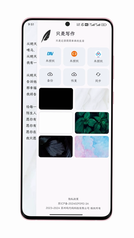 只是写作预览图