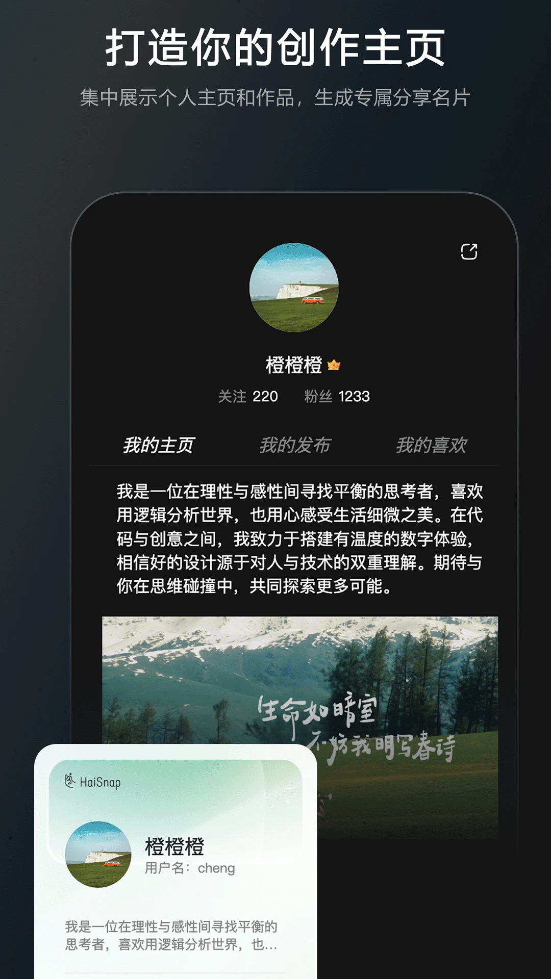 响指HaiSnap智能体协作
