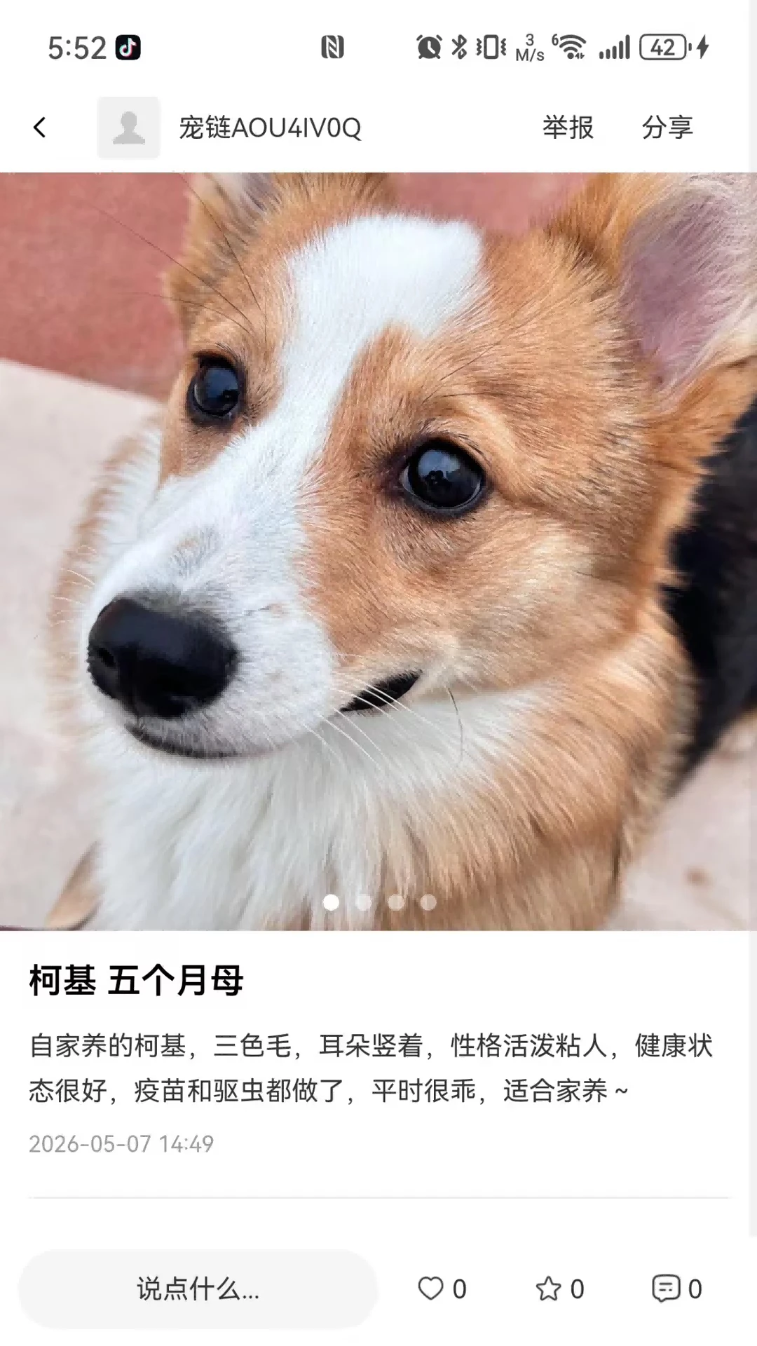宠链安全保障
