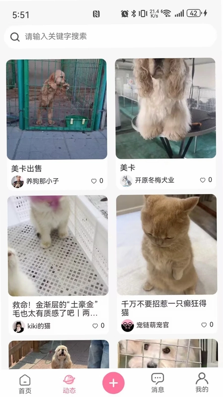 宠链预览图