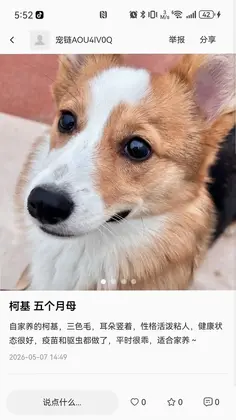 ����Ԥ��ͼ