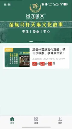 蚩尤苗父官方版预览图