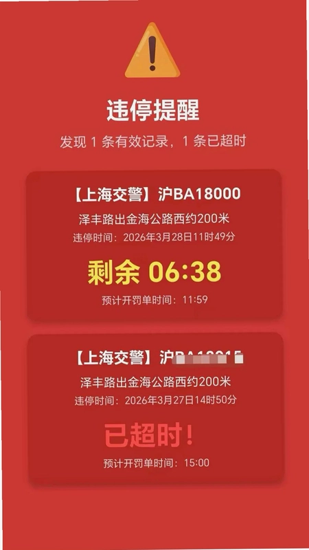 违停警报提醒预览图