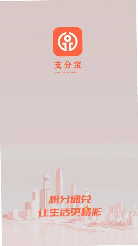 支分宝预览图