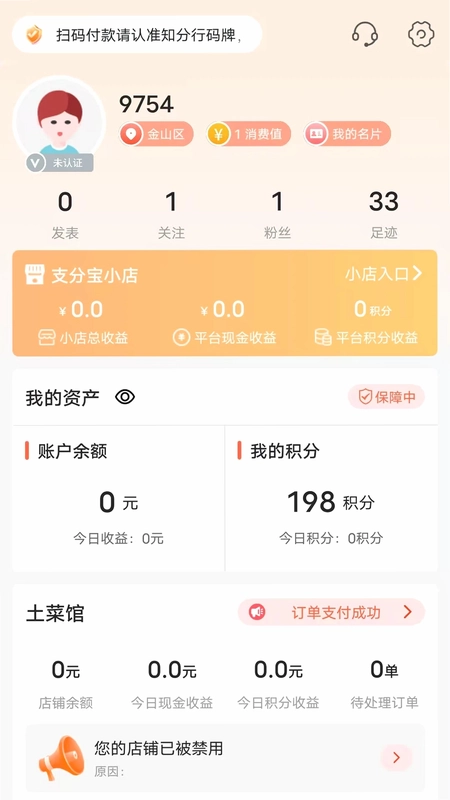 支分宝预览图