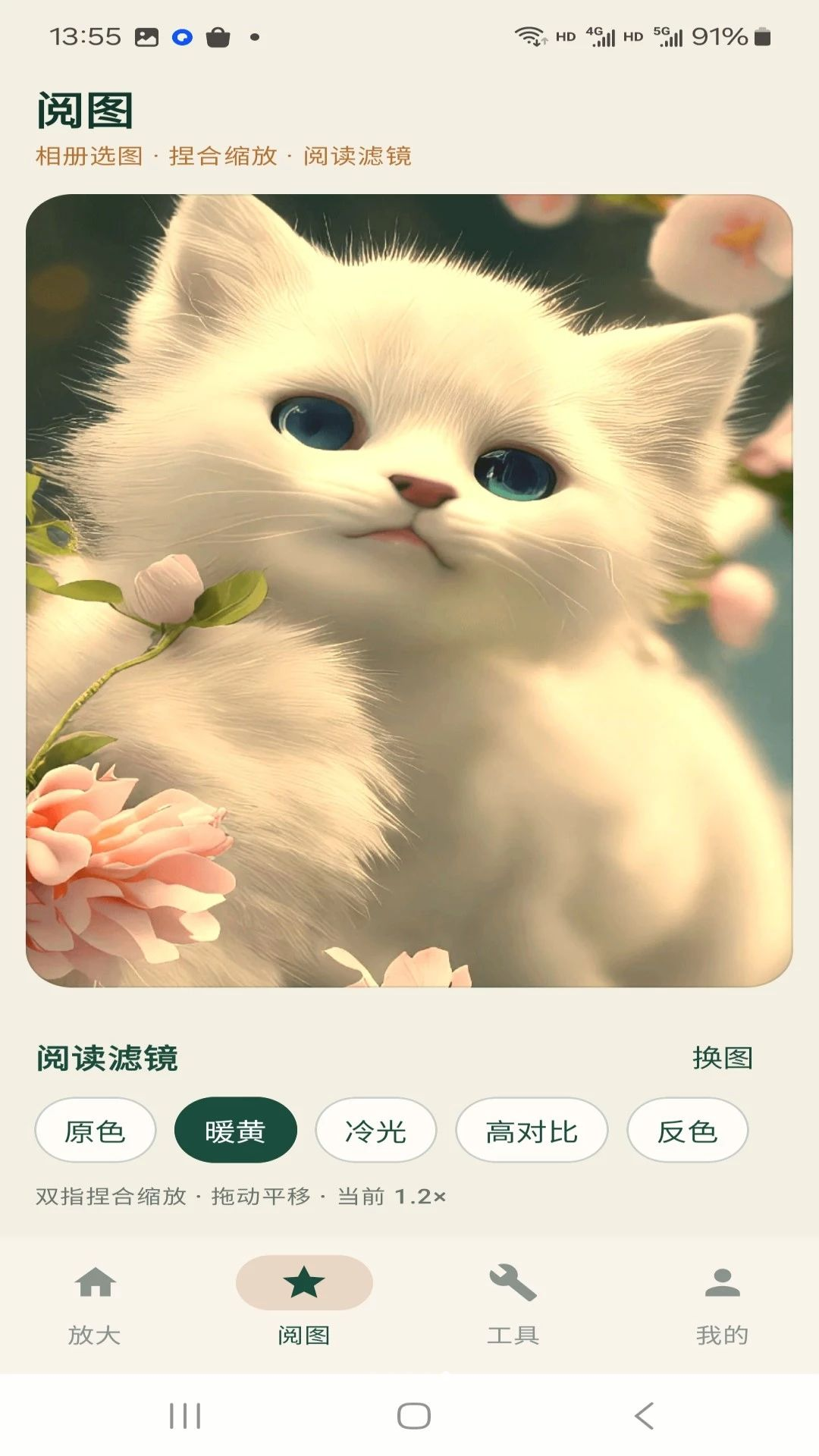 阅清放大镜存储占用