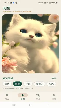 阅清放大镜预览图