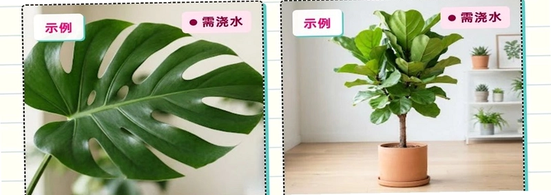 假日小院预览图