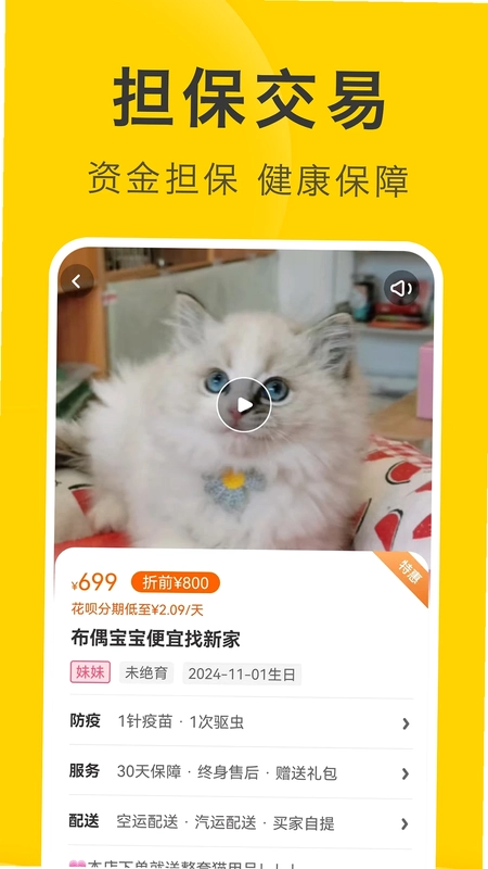 买只宠物预览图