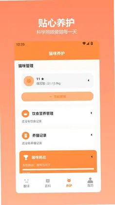 ����СèԤ��ͼ