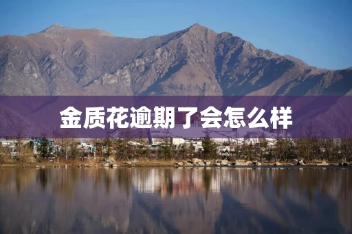 金质花好下款吗怎么突然系统异常