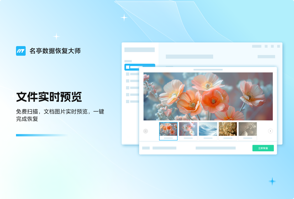 名亭数据恢复大师恢复文件类型