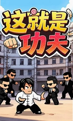 这就是功夫预览图