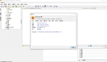 XnView MP(ͼƬ����)Ԥ��ͼ