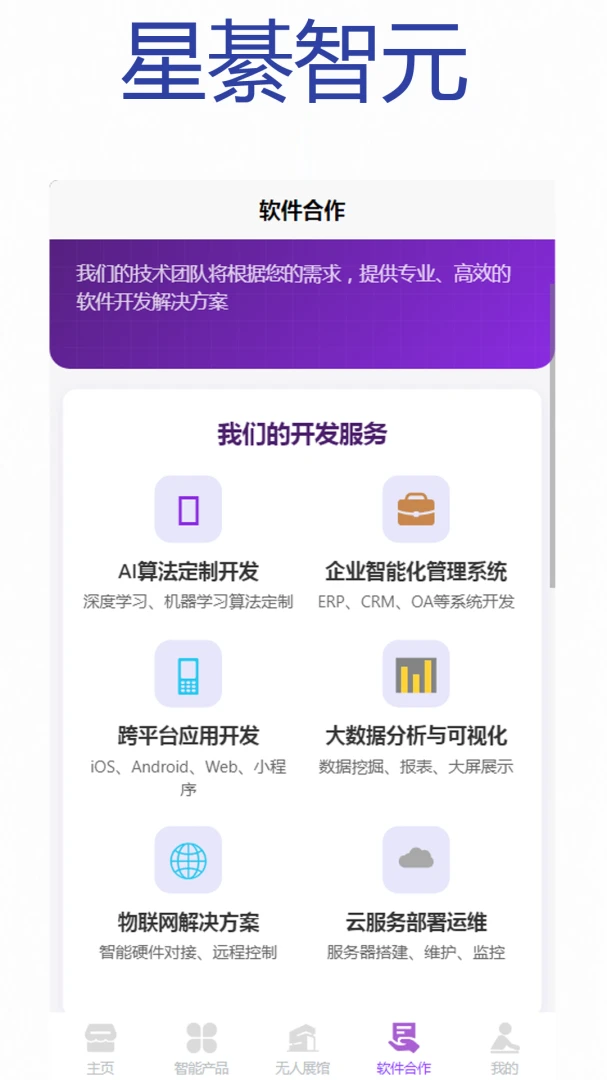 星綦智元功能展示