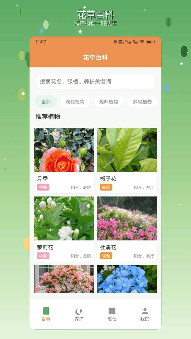 nimooOrea预览图