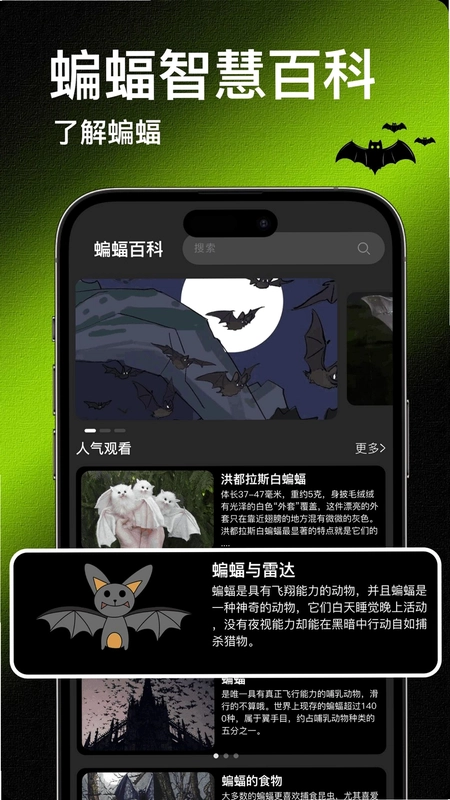 Bat蝙蝠预览图
