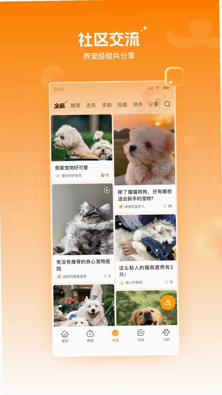 莫莫宠医预览图