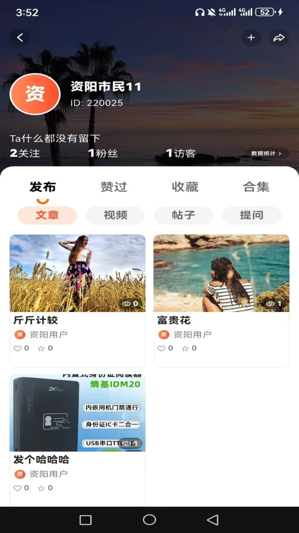 数字资阳功能界面