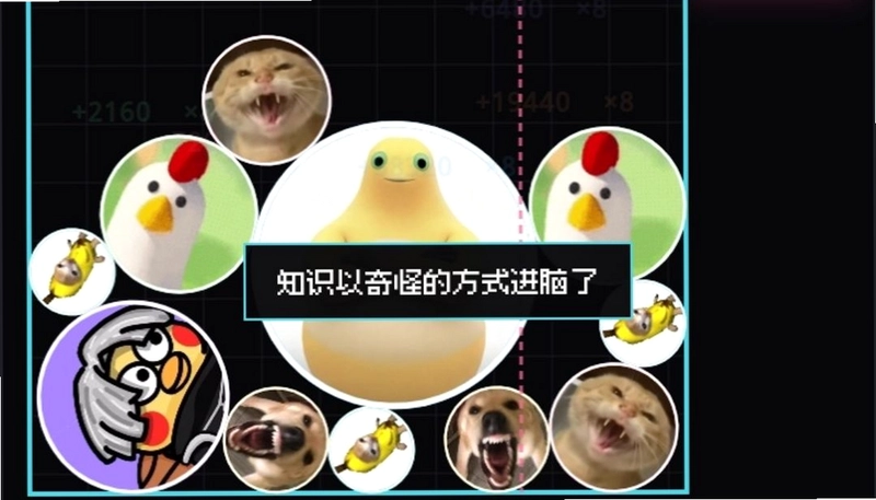 万宁梗大师预览图