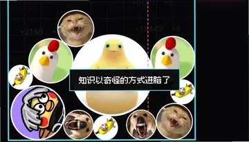万宁梗大师预览图