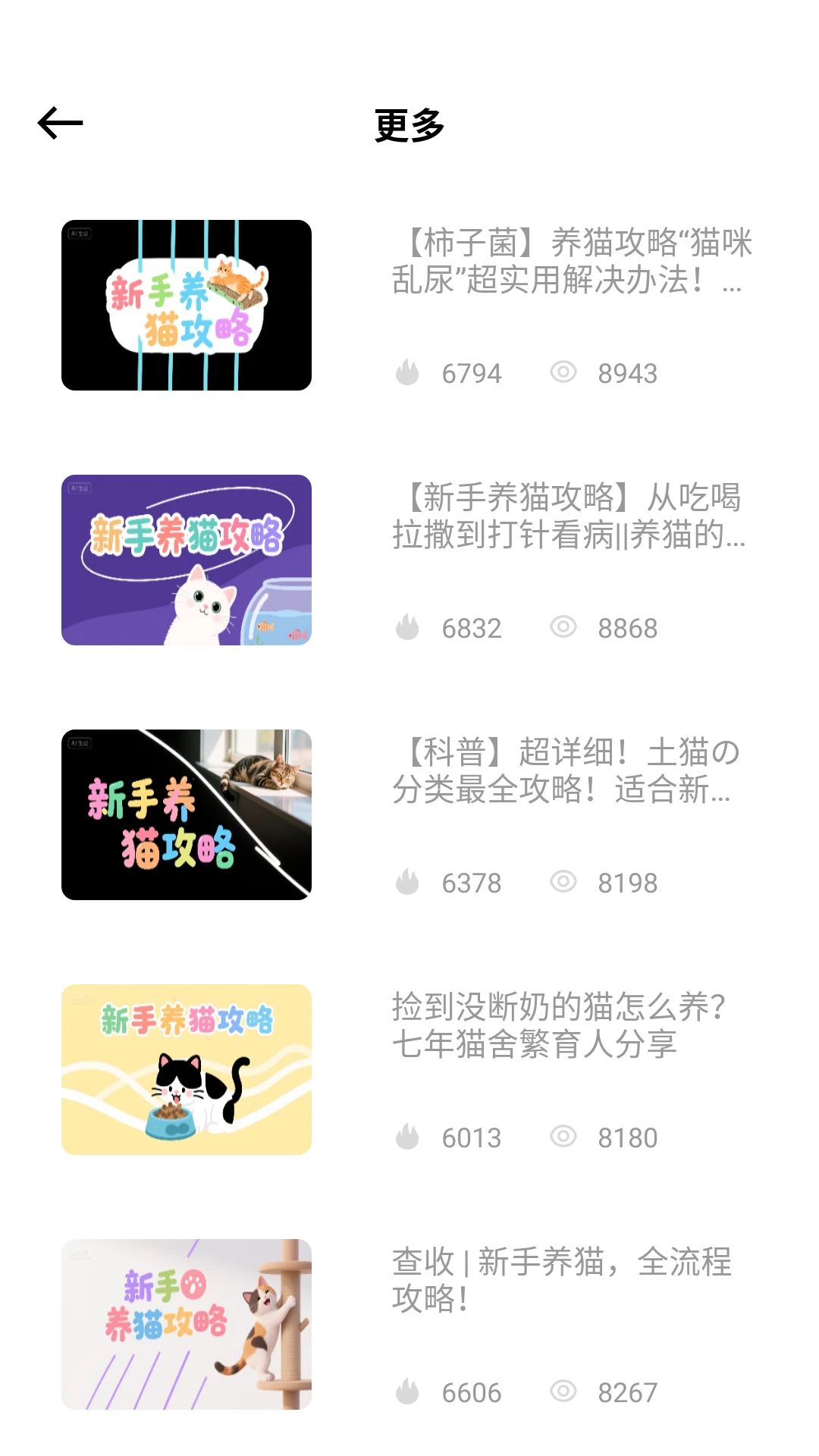瞄眼精灵养护知识