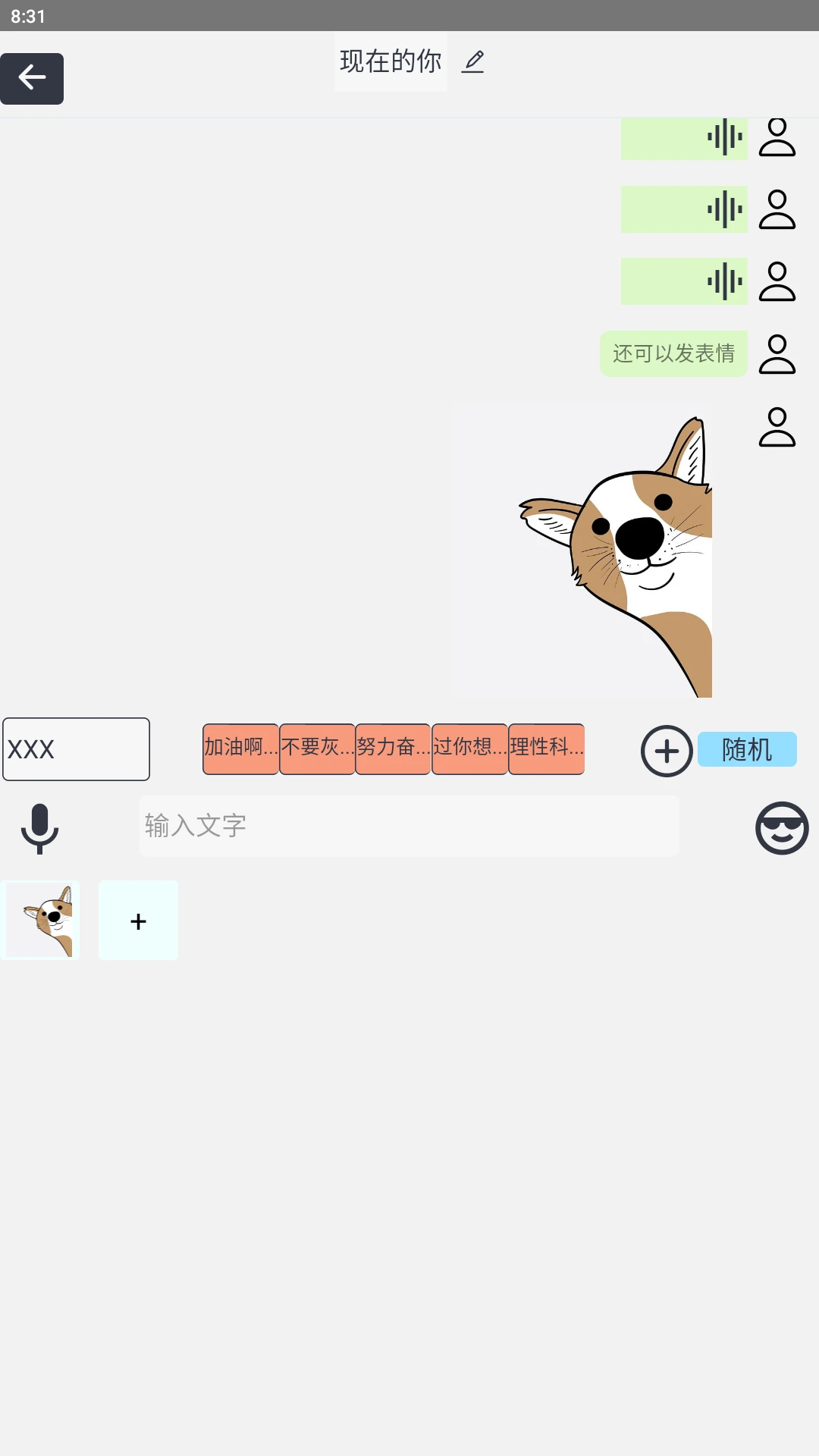 ��й�������赼