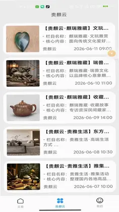 贵麒云预览图